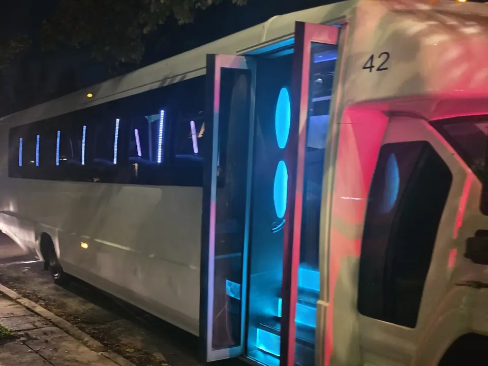 Chicago Executive Charters 34-passenger party bus exterior at night