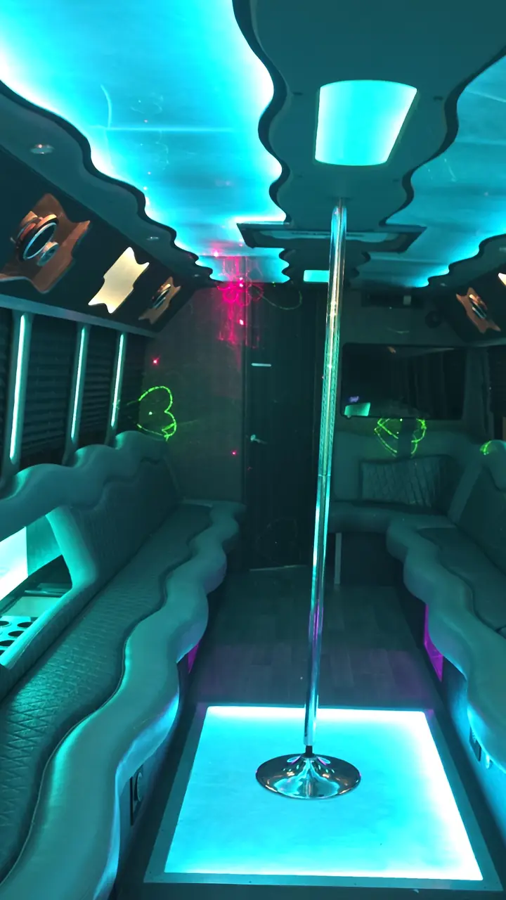 Chicago Executive Charters 34-passenger party bus interior with dance pole, LED and laser lighting